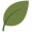 feuille3